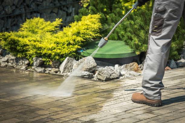 Best Patio and Deck Pressure Washing  in Moore Haven, FL