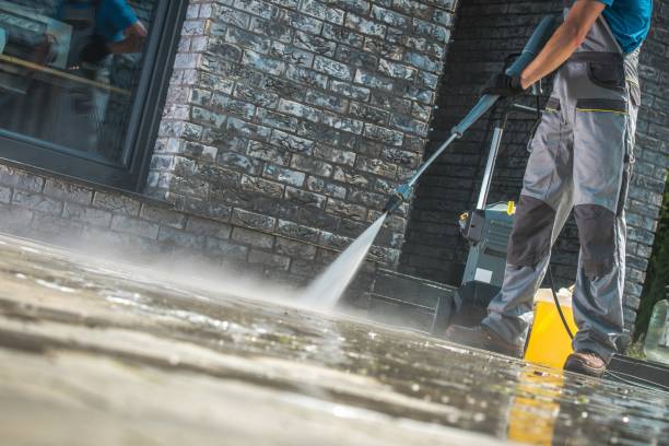 Best Fleet Vehicle Washing  in Moore Haven, FL